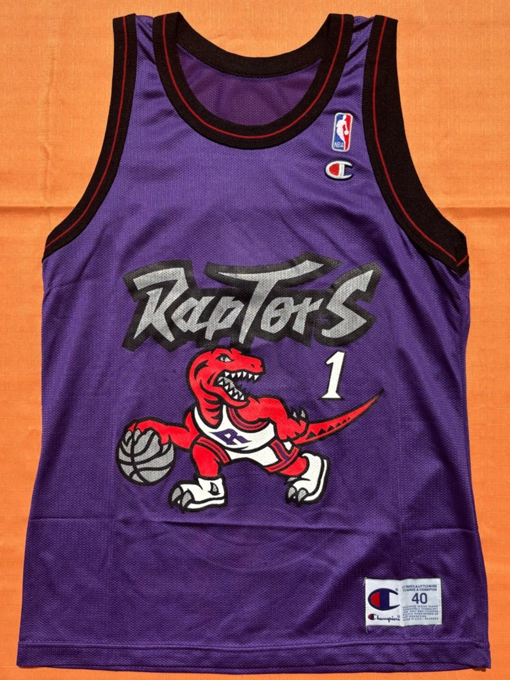 Champion Purple Toronto Raptors Kids Basketball Jersey with Red Dino Graphic